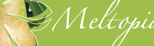 Poster for Meltopia